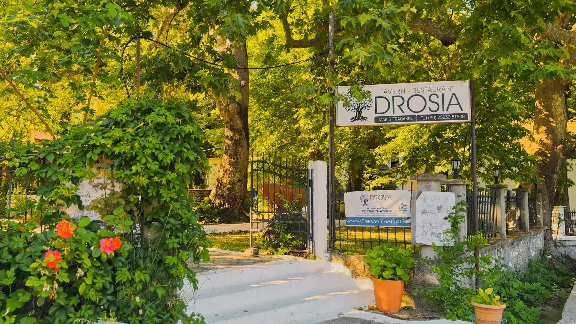 Drosia Tavern